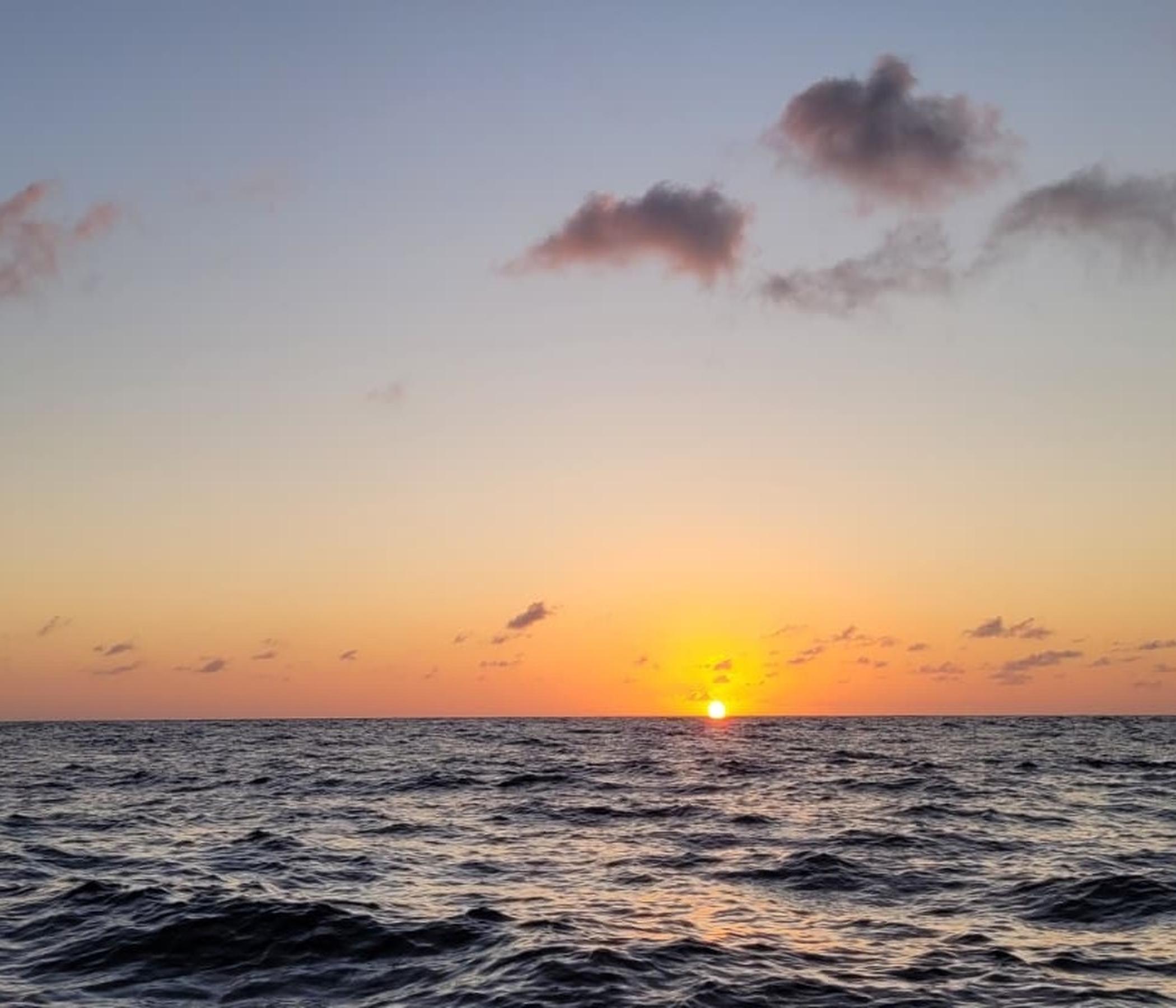 Alcudia Sea Explorer Delfine - Bootsfahrt