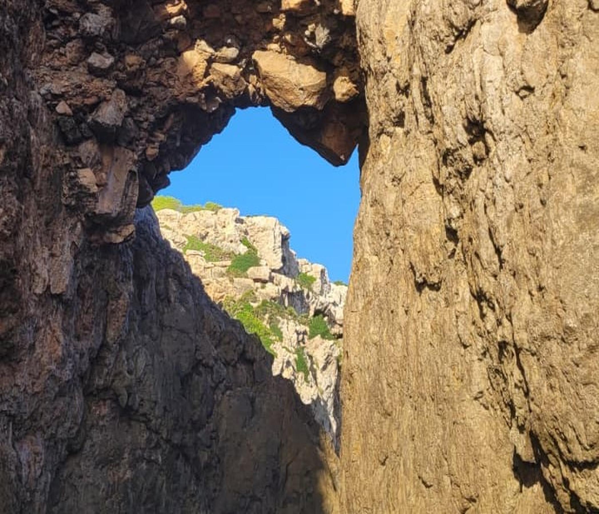 Alcudia Sea Explorer Delfine - Bootsfahrt