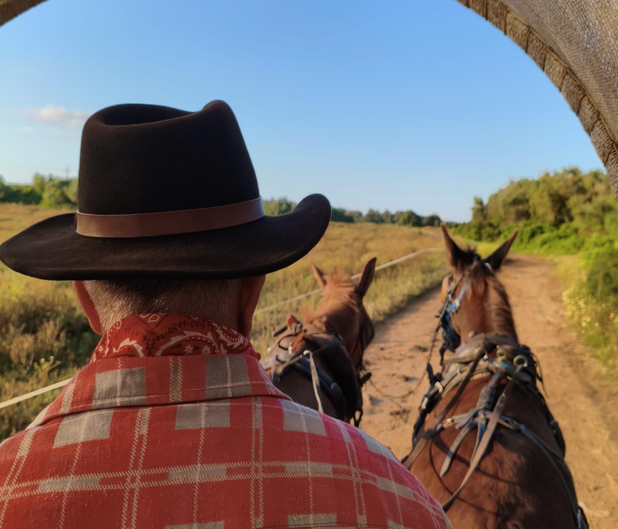 Rancho Grande - Pferderanch mit BBQ